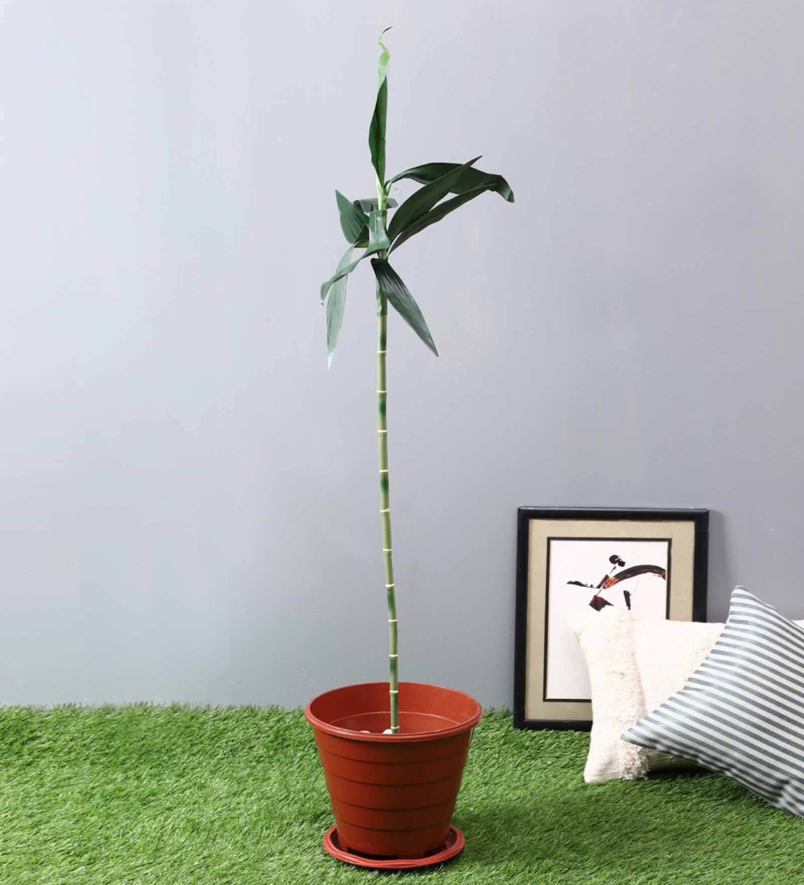 Green Polyester Artificial Bamboo Stick Plant Without Pot