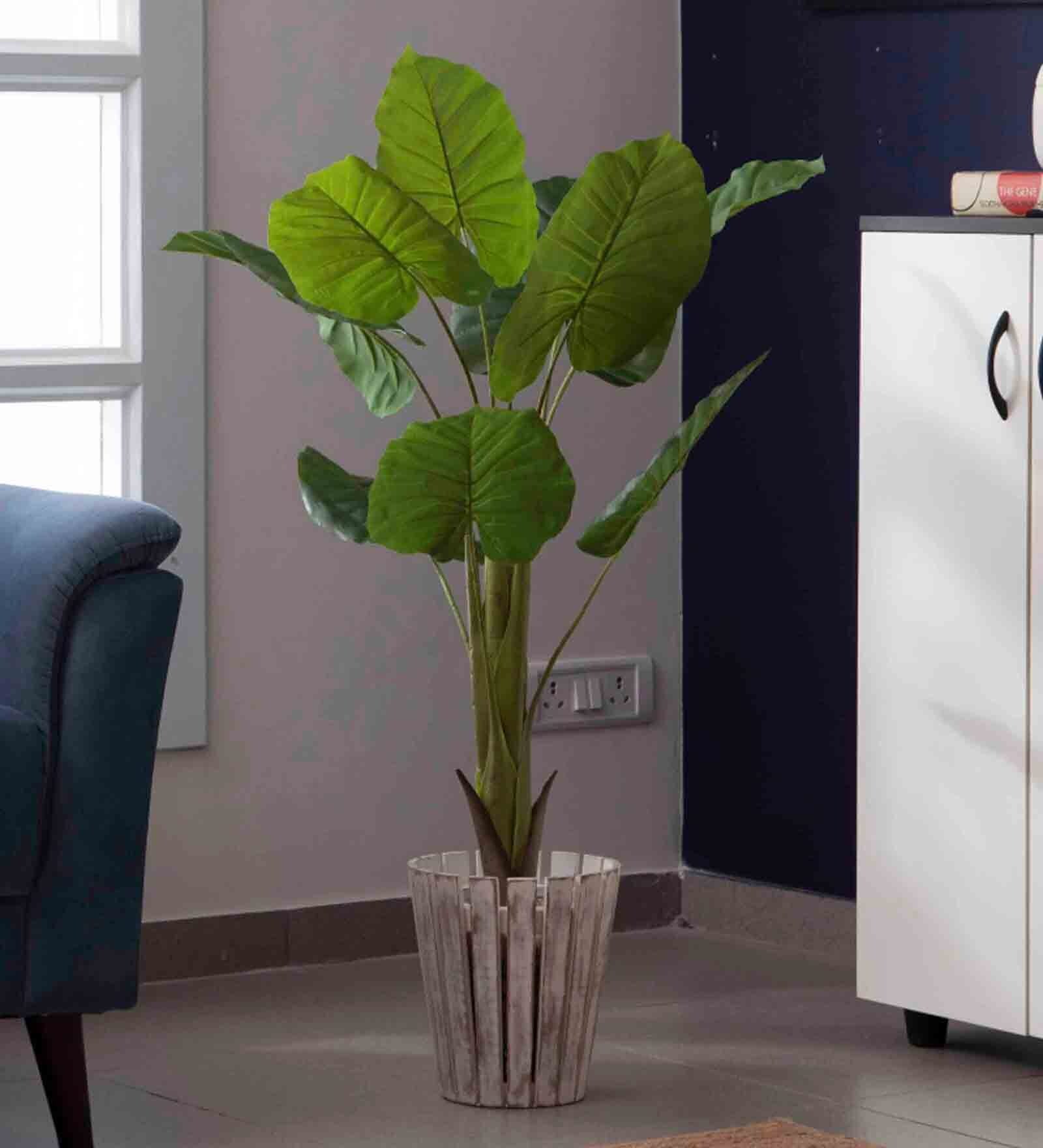 Buy Polyester Green Philodendron Without Pot Artificial Plants at 40