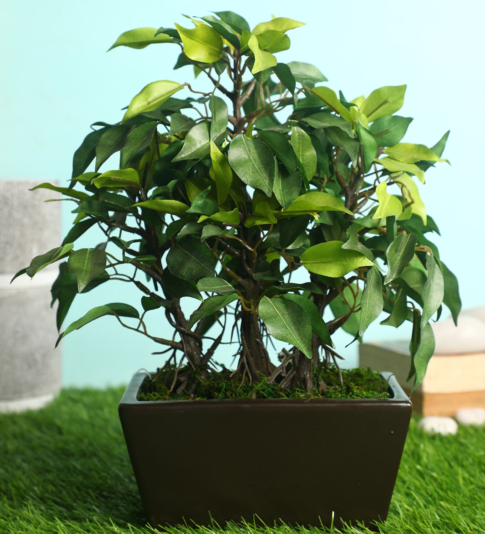 Polyester Phoebe Green With Pot Artificial Plant