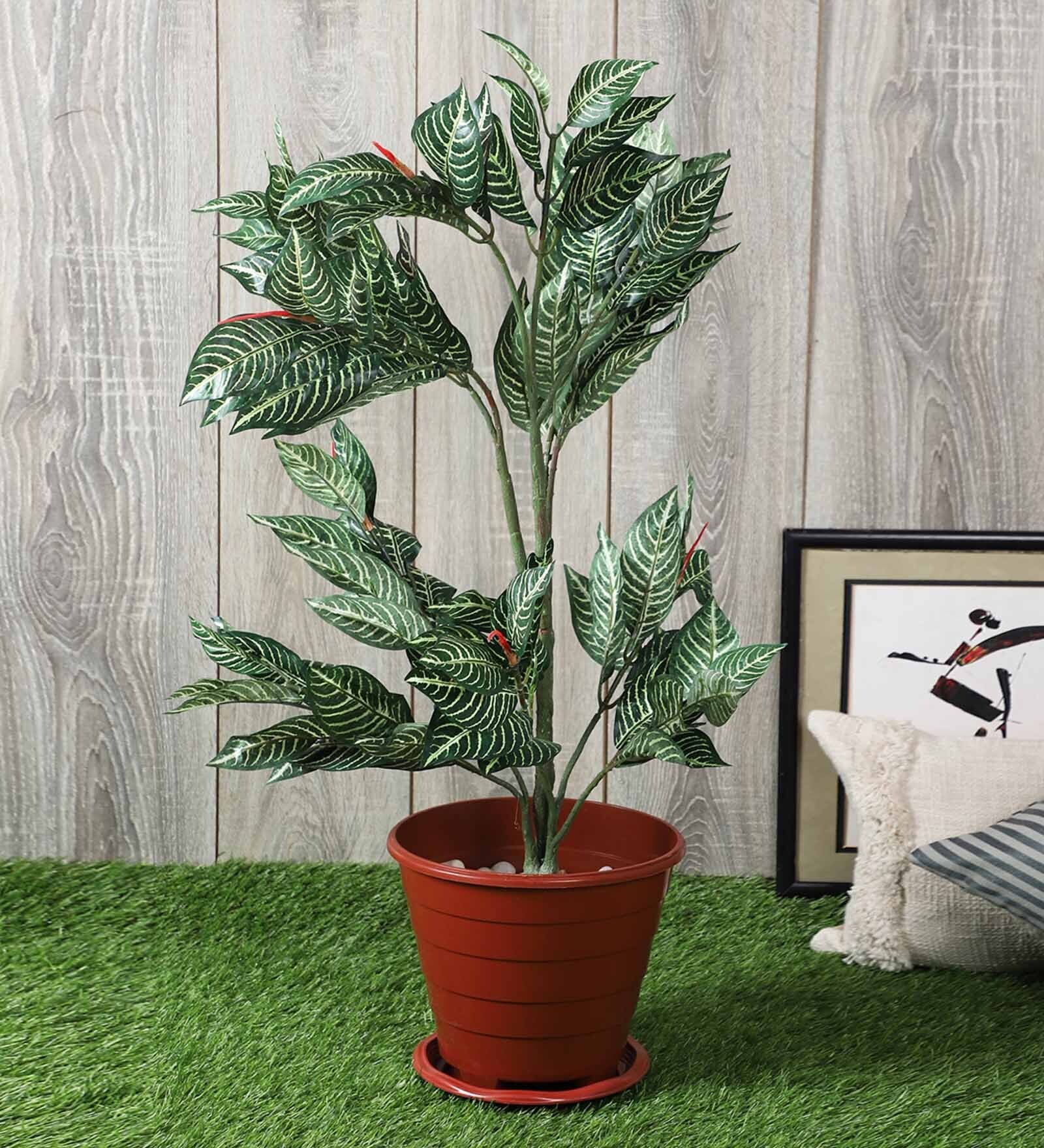 Green Polyester Artificial Zebra Plant Without Pot