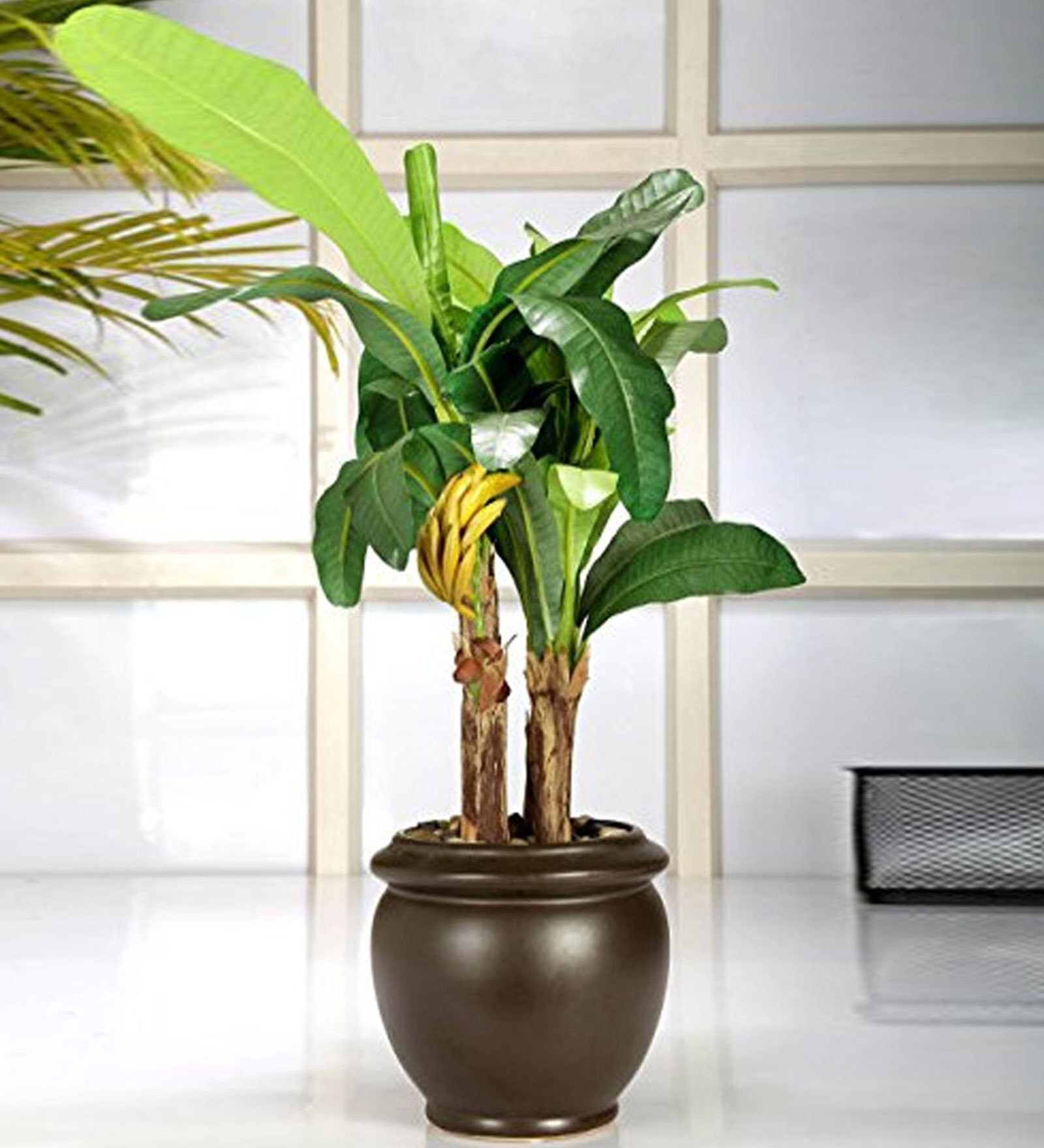 Polyester Green Bonsai Banana With Ceramic Pot Artificial Plants