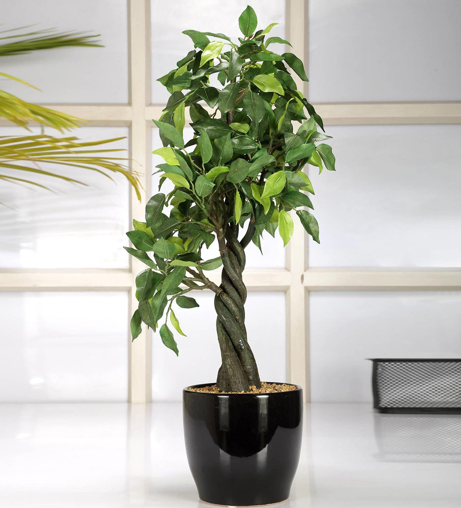 Buy Green Polyester Ficus Bonsai Artificial Plant With Ceramic Vase By