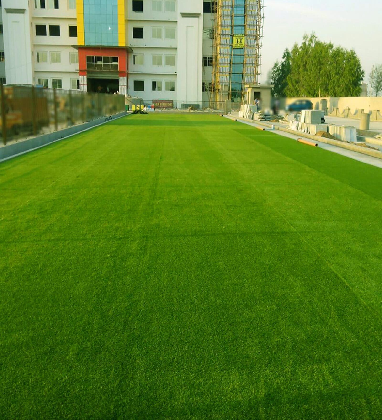 Green Polypropylene High Density 3 X 2 Feet Carpet (35 Mm) Artificial Grass