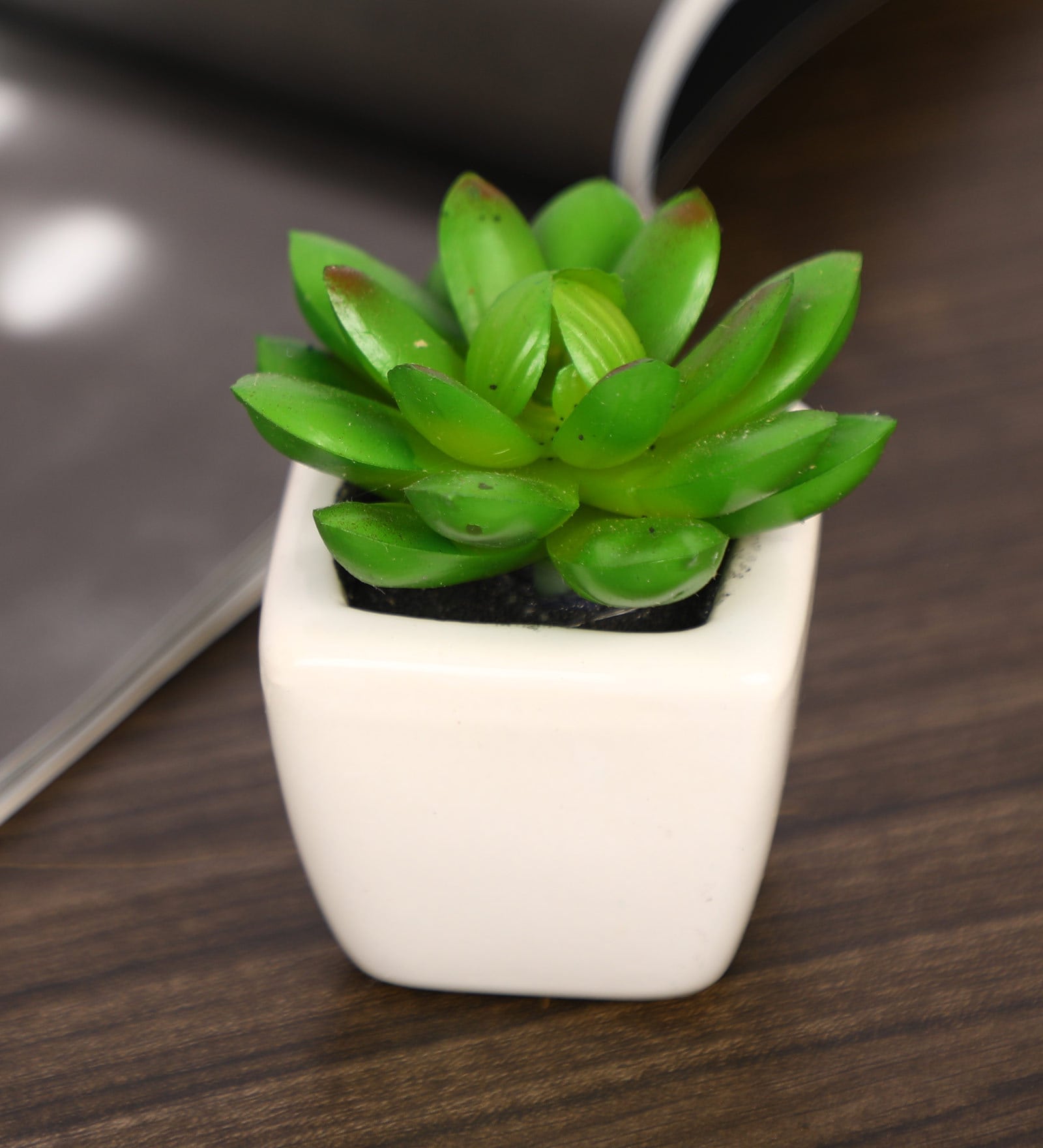 Polyester Artificial Green De Paperweights Bonsai With Pot Artificial Plants