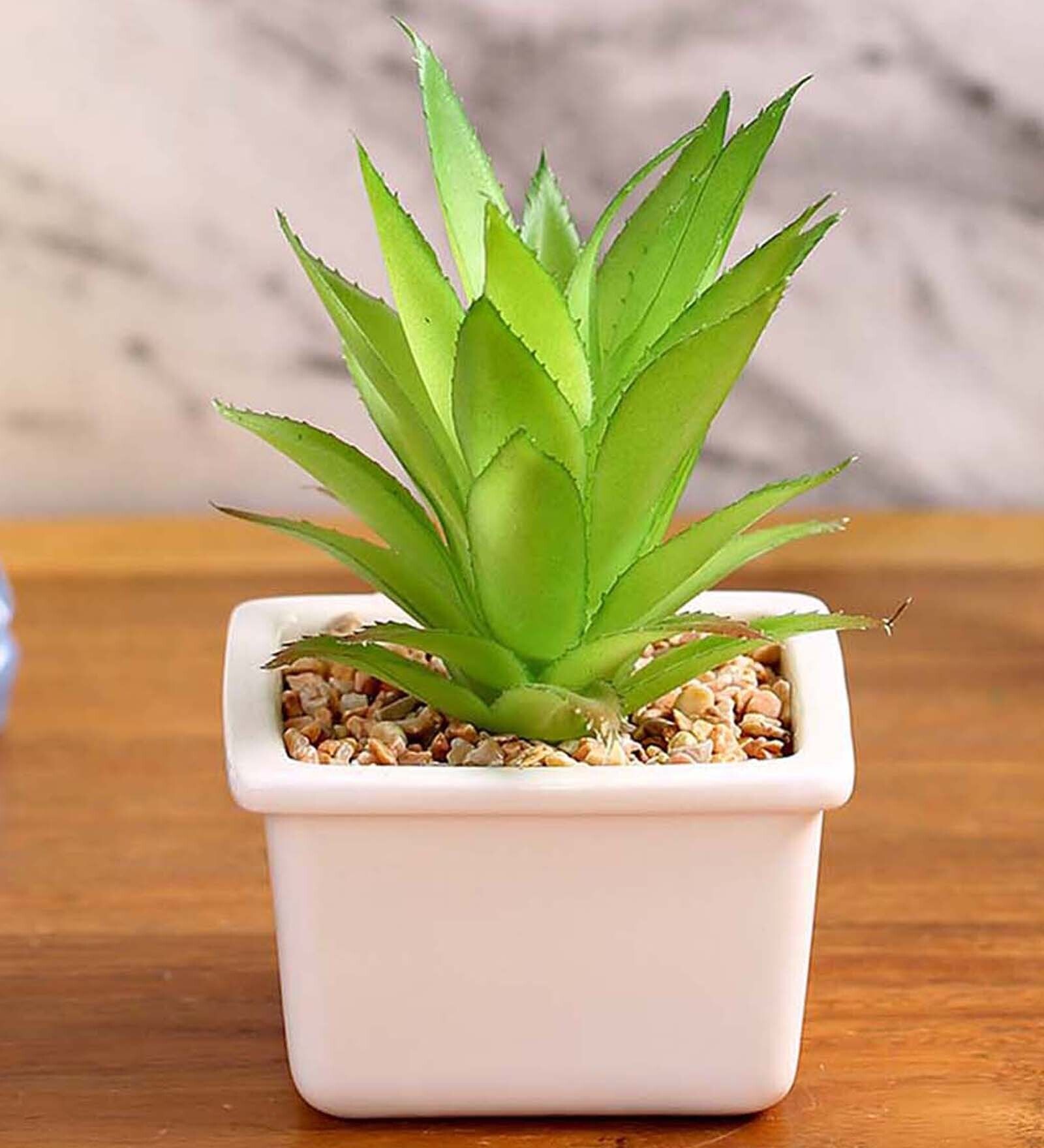 Polyurethane Luna Green Succculent In Ceramic Pot Artificial Plant
