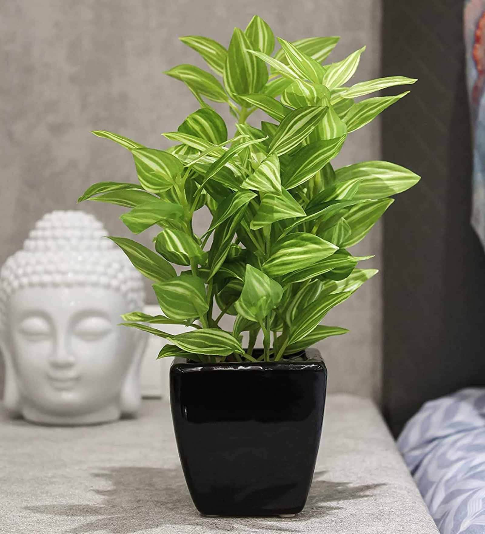 Pvc Als Green Bonsai With Black Ceramic Pot Artificial Plant