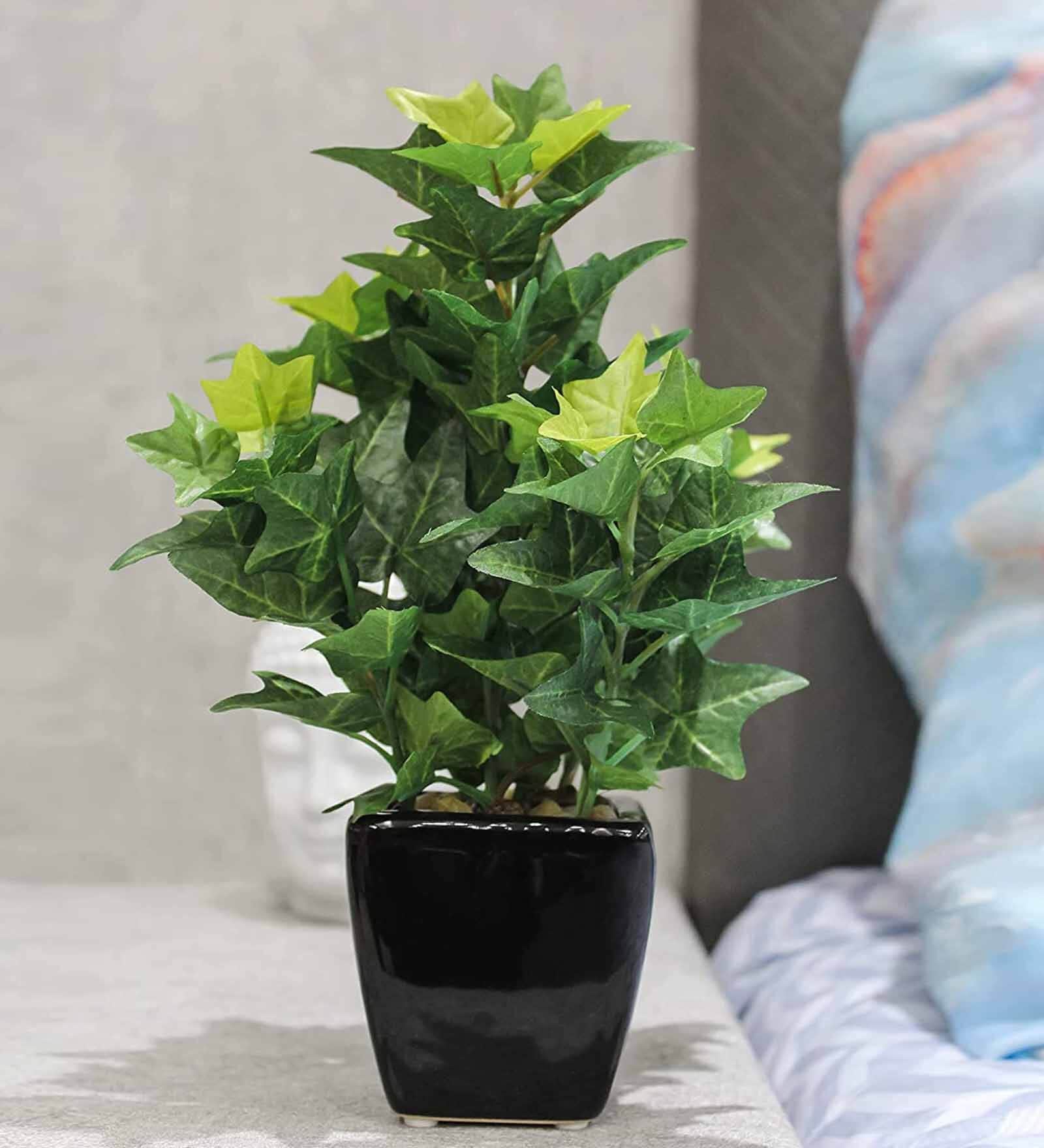 Green PVC Artificial Bonsai Plant With Black Ceramic Pot
