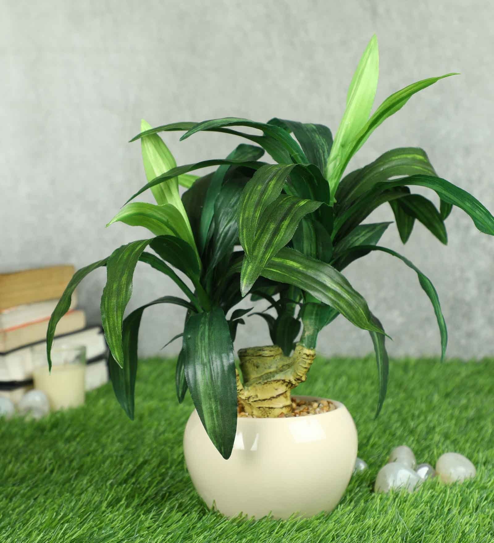 Green Pvc Refreshing Artificial Bonsai With White Ceramic Pot