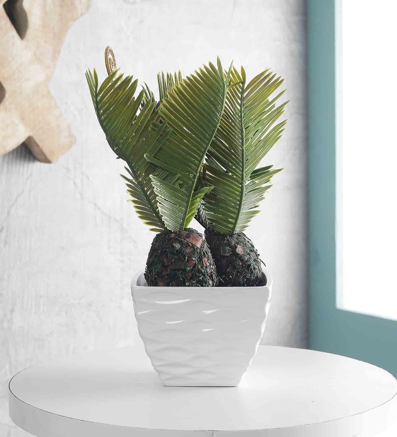 Buy Green Sago Palms Artificial Plant with Pot by Foliyaj at 68 OFF by