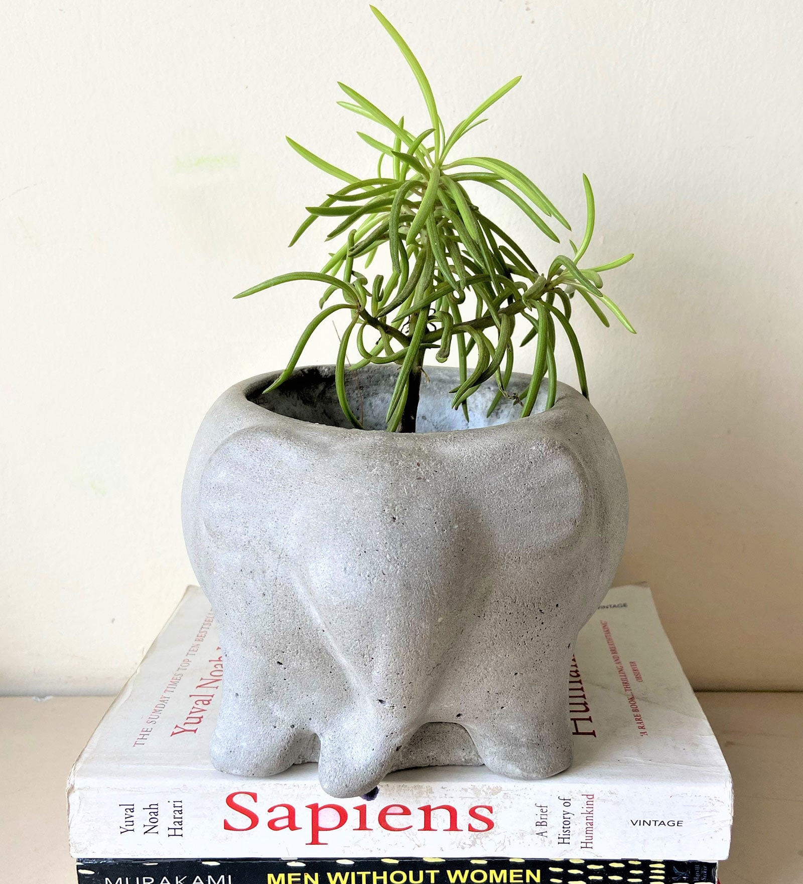 Grey Cement Sweet tooth- Elephant Handcrafted Planter