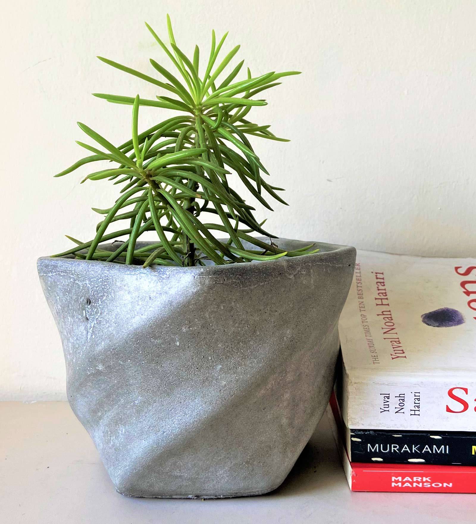 Grey Cement Twirl Concrete Handcrafted Planter