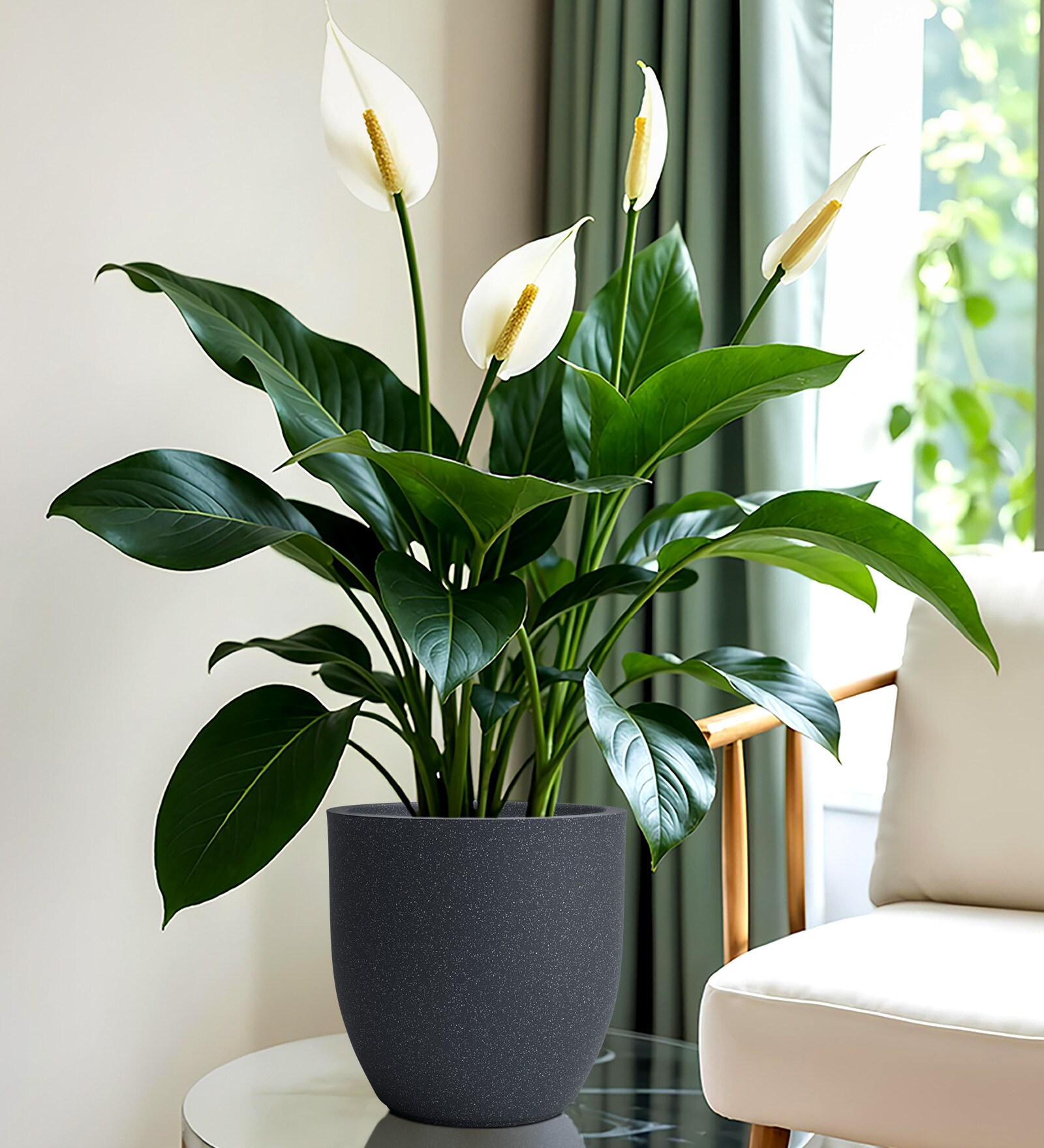 Grey Pcup Round 6 Inches Planter