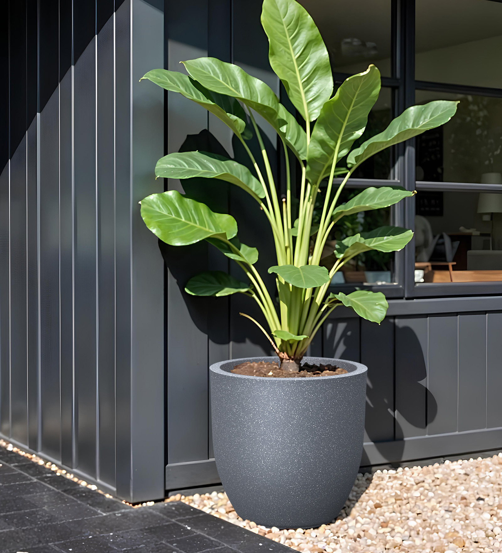 Grey Pcup Round 2 Inches Planter