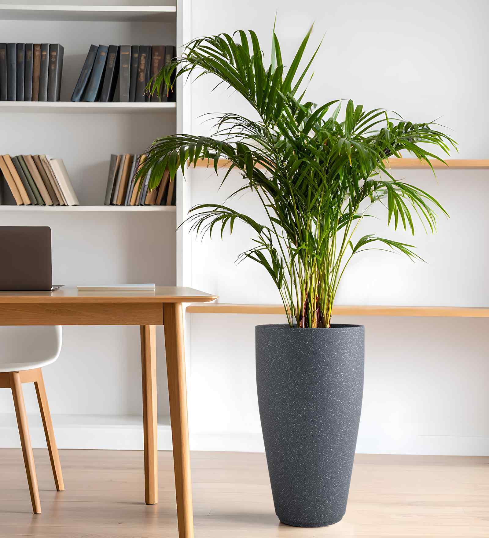 Grey VNR Round 24 Inches Planter