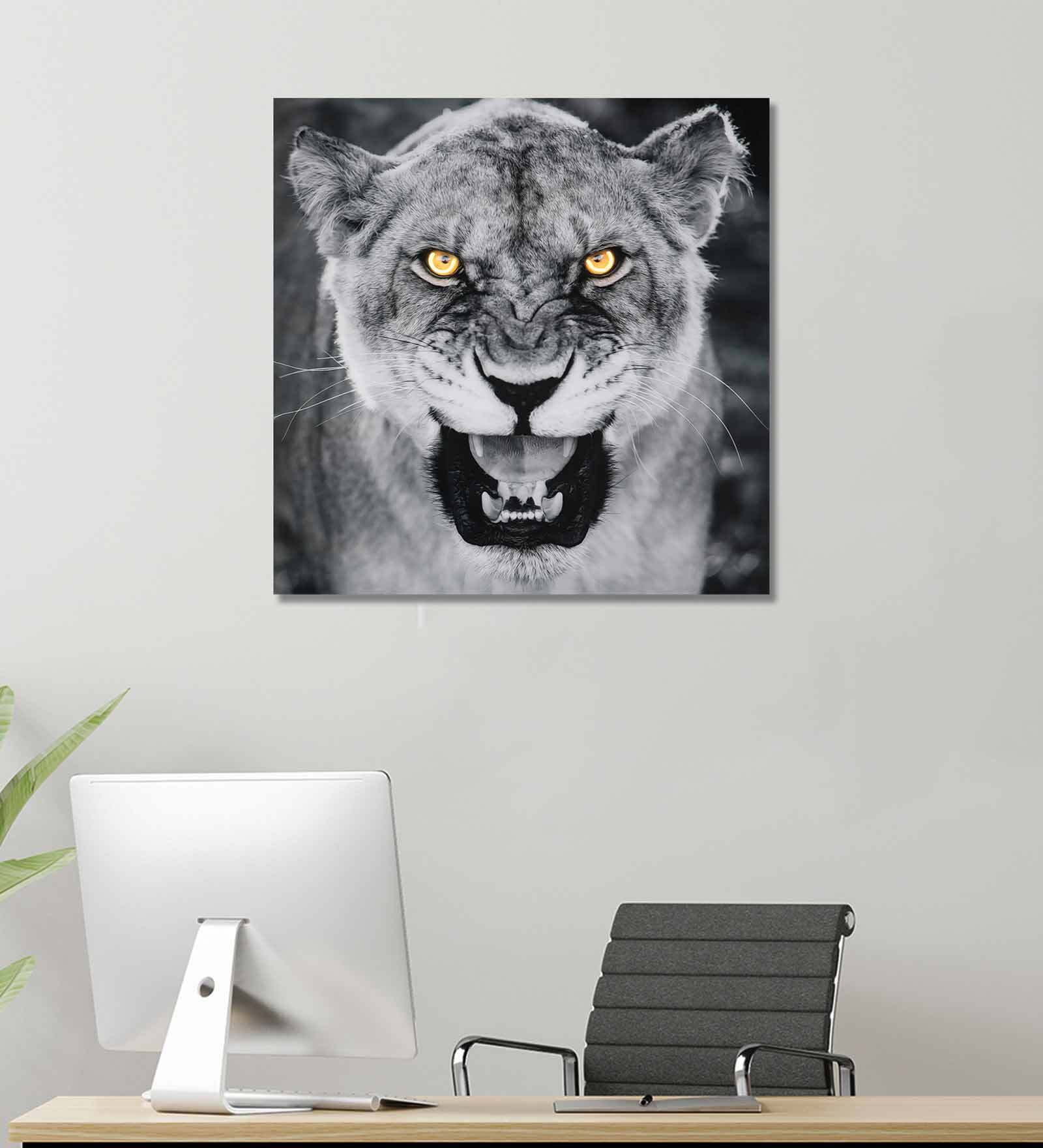 Black Jaguar Grey Canvas Teakwood And MDF Framed Wildlife Art Print