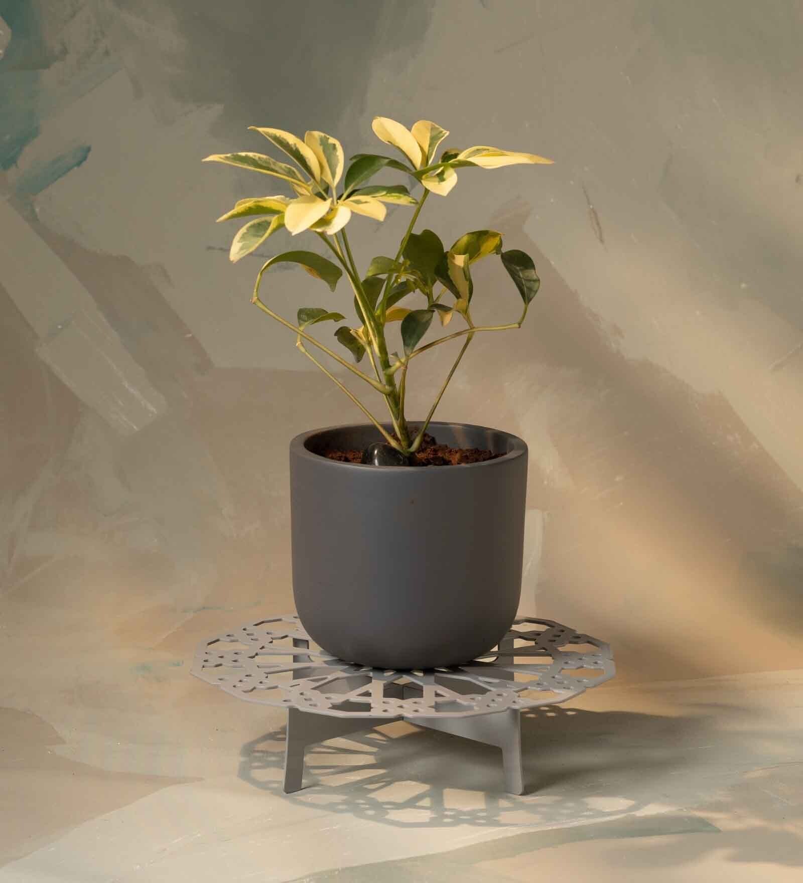 Grey Clay Eco-Friendly Desk Planter