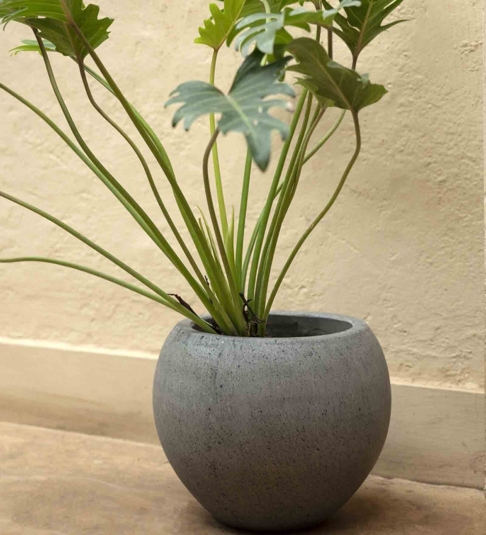 Grey Concrete Grey Giant Small Floor Planter