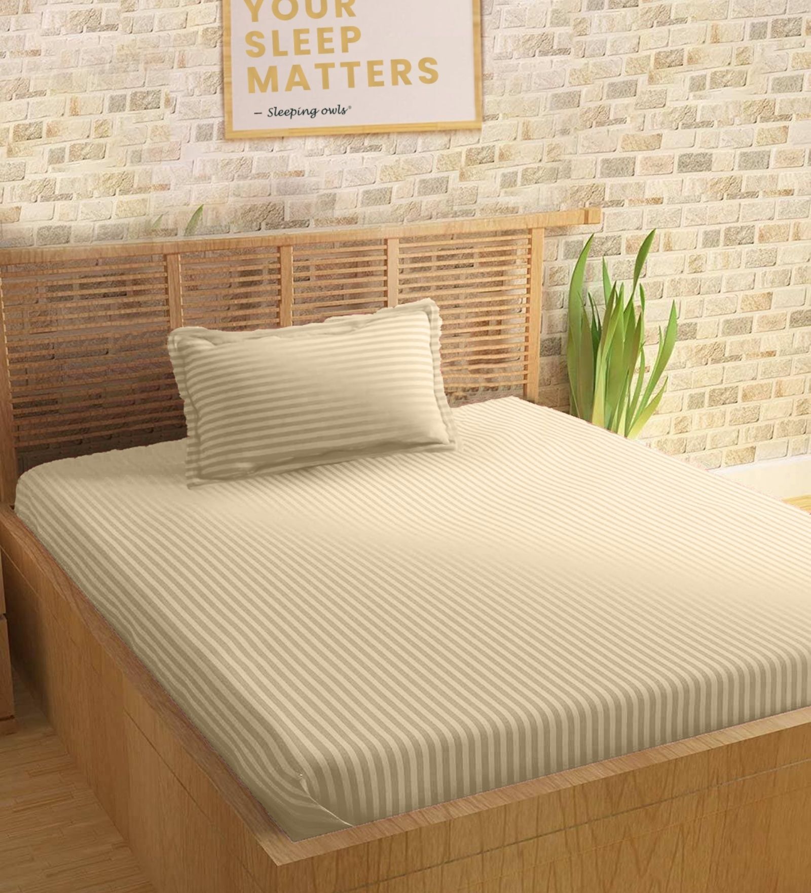 Cream Cotton 210TC Striped Single Bedsheet with 1 Pillow Cover