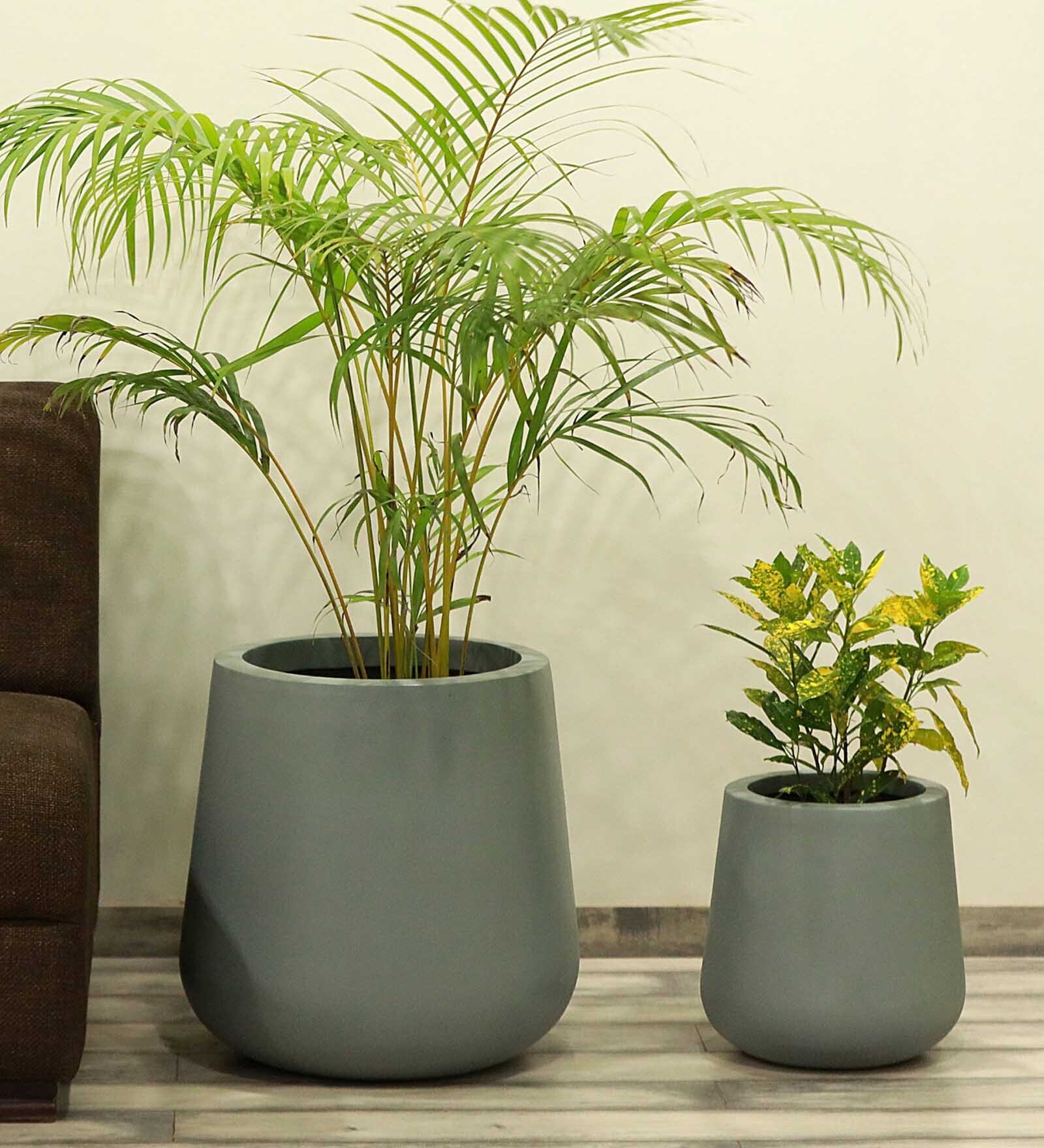 Grey Fiber Glass Cylindrical Shaped Medium Floor Planter