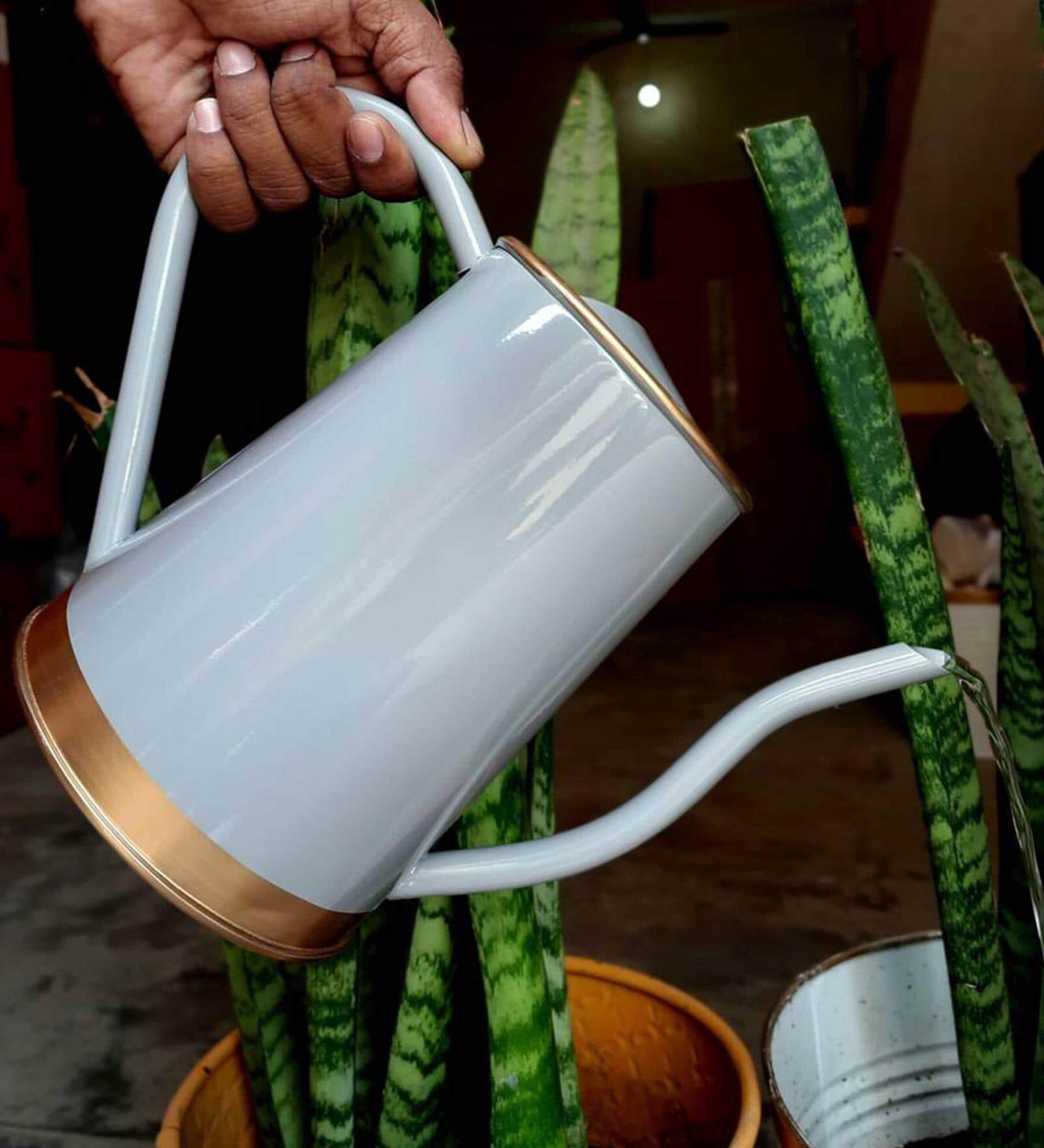 Grey Metal Premium Watering Can