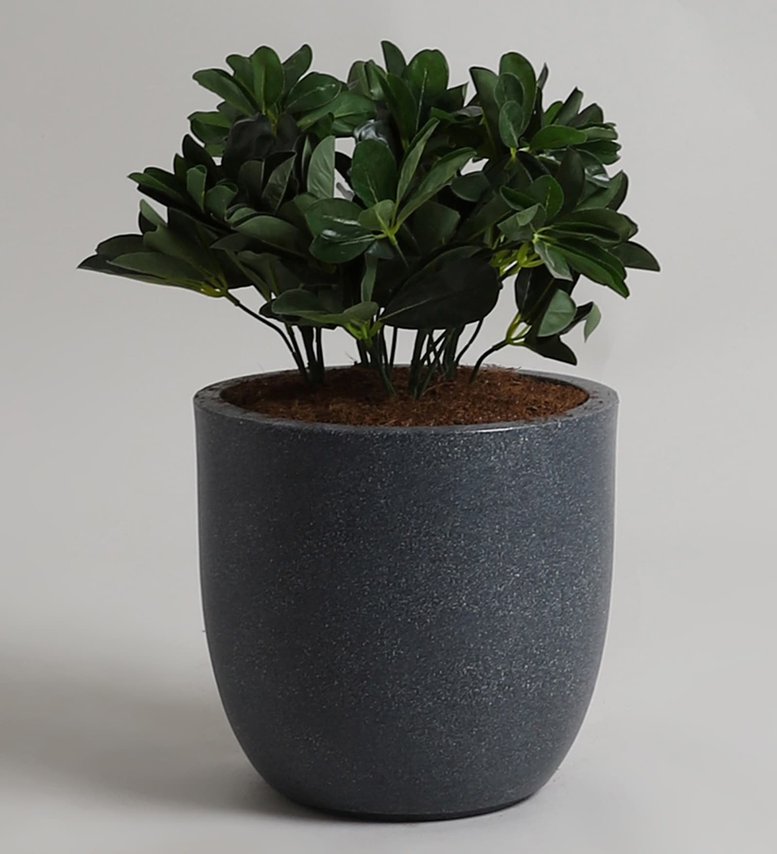 Grey Polymer 12 Inch Round Planter