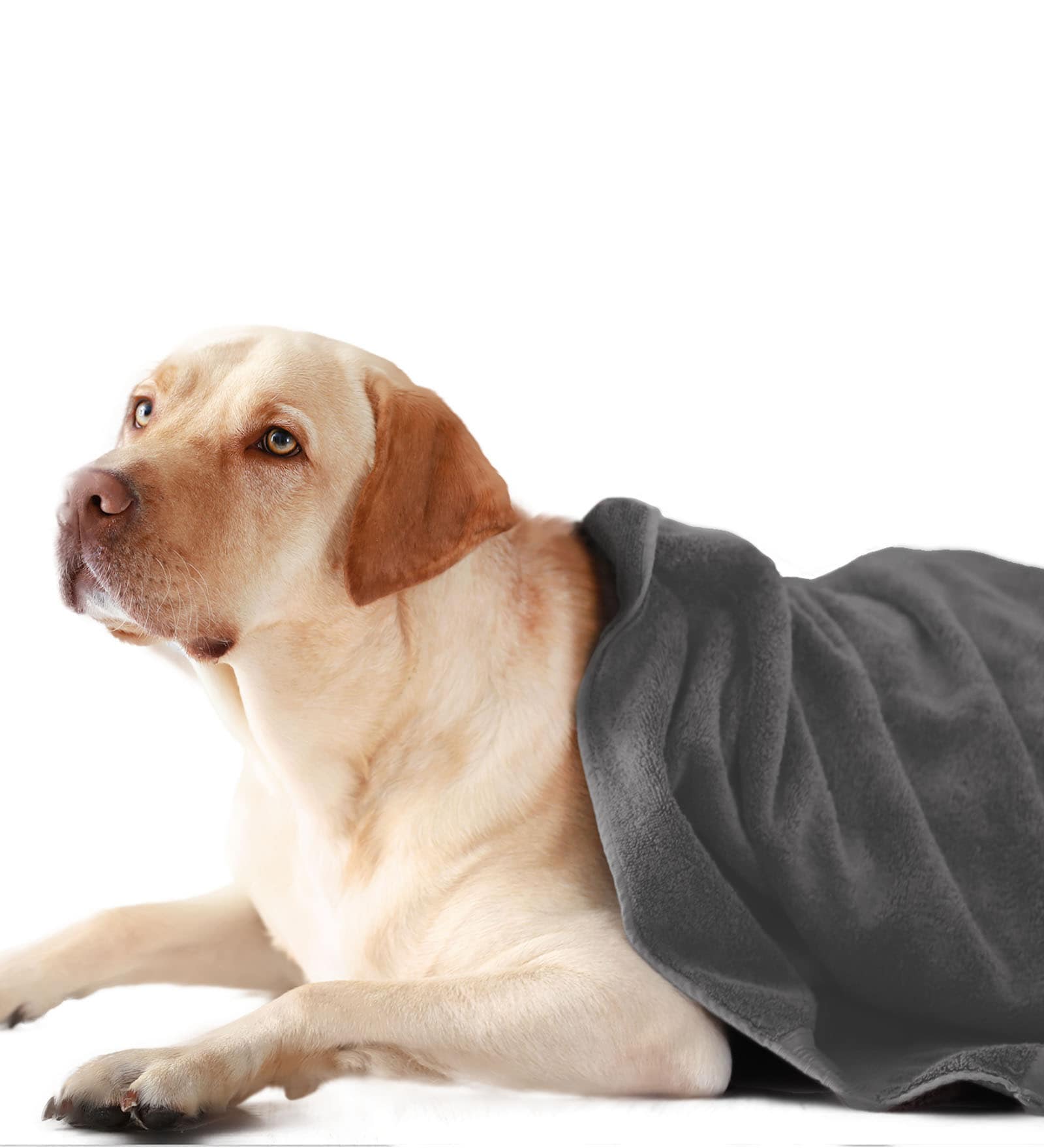 Grey Solid 450 GSM Microfiber Pet Towel (M)