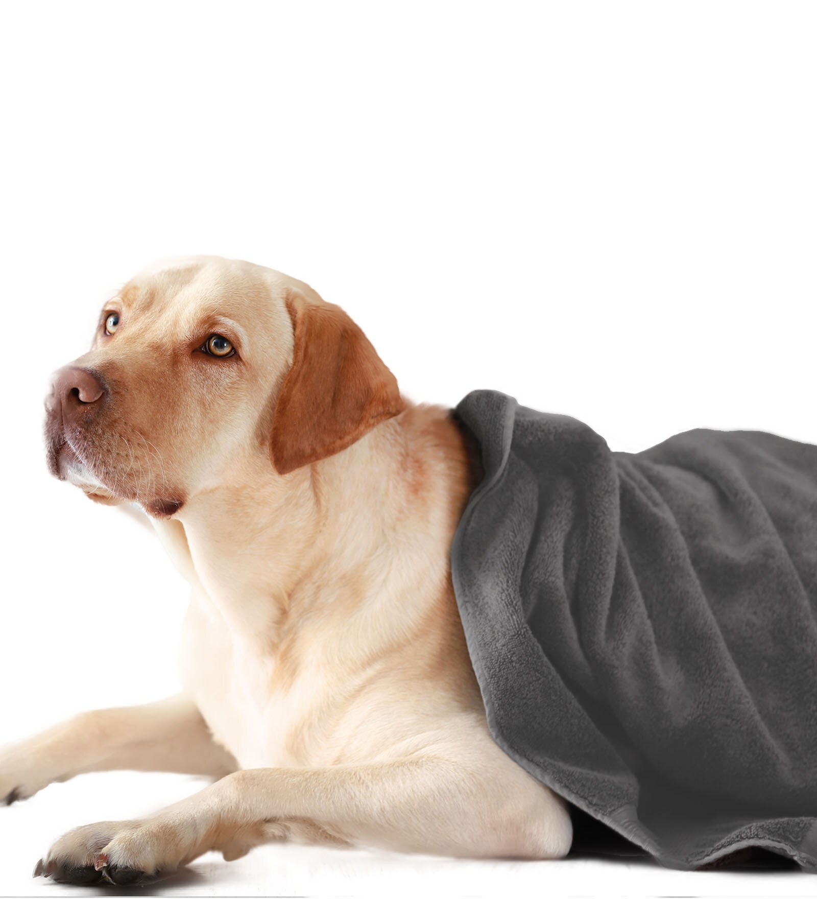 Grey Solid 450 GSM Microfiber Pet Towel (S)