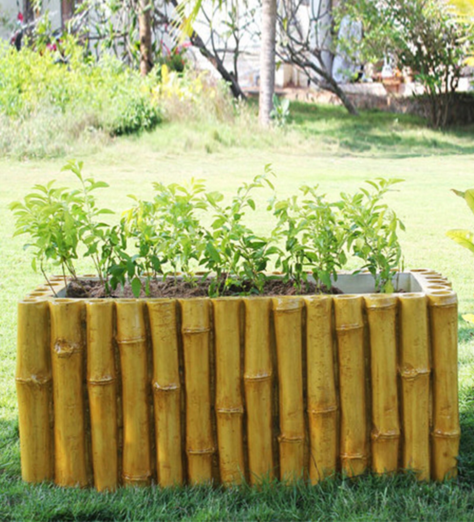 Buy Greymode Yellow Fiber Reinforced Polymer Moongil Planter Online