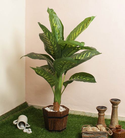 Green Artificial Dieffenbachia Floor Plant Without Pot By Fourwalls