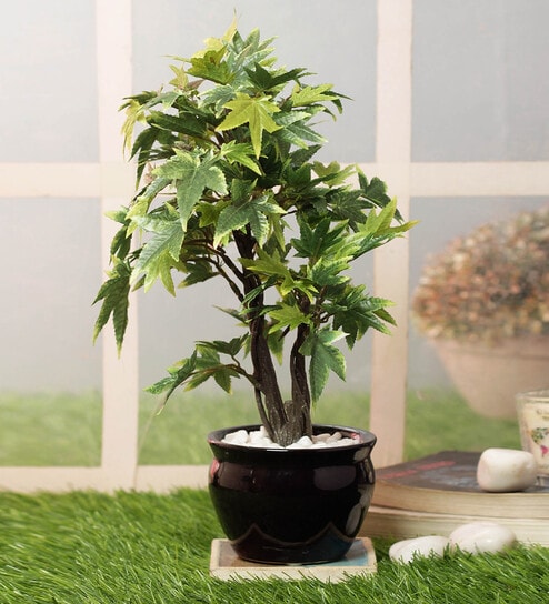 Green Artificial Maple Bonsai Plant with Ceramic Pot