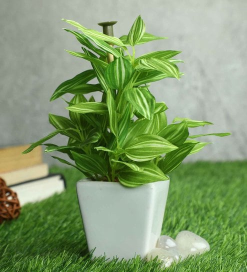 Pvc Green Bamboo Bonsai With White Ceramic Pot Artificial Plants