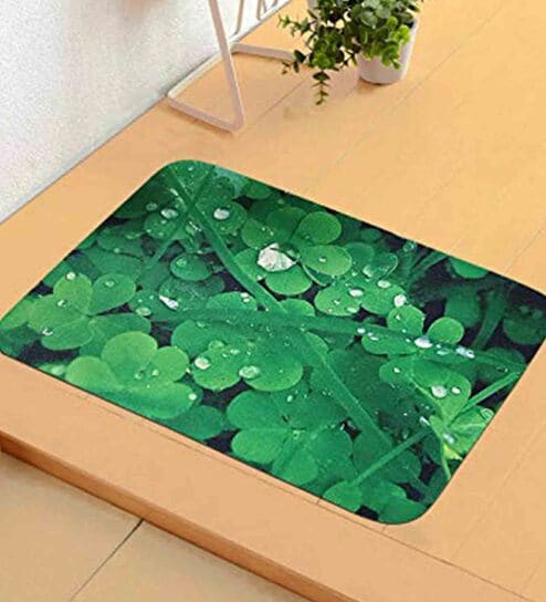 https://ii1.pepperfry.com/media/catalog/product/g/r/494x544/green-nylon-15-x-23-inch-anti-skid--door-mat-green-nylon-15-x-23-inch-anti-skid--door-mat-qevseg.jpg