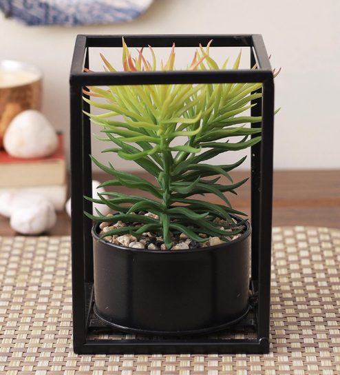 Buy Green Plastic Compact Boxy Indoor Succulent Plant With Pot