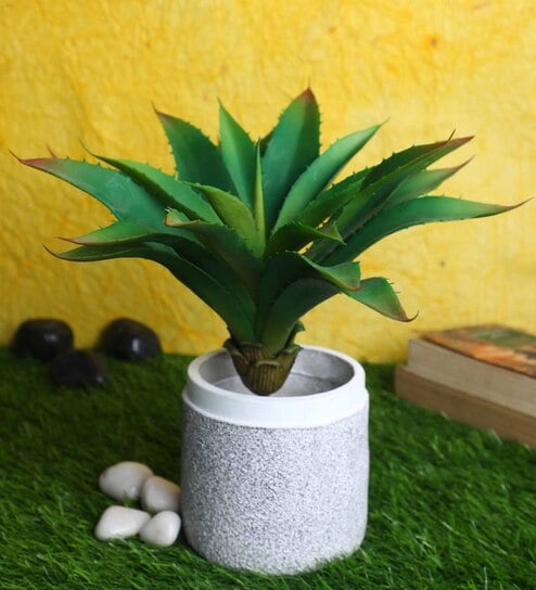 Green Polyester Artificial Aloe Vera Plant Without Pot