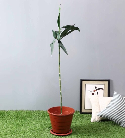 Green Polyester Artificial Bamboo Stick Plant Without Pot