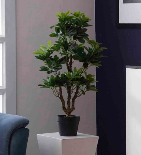 Polyester Green Schefflera With Pot Artificial Plants
