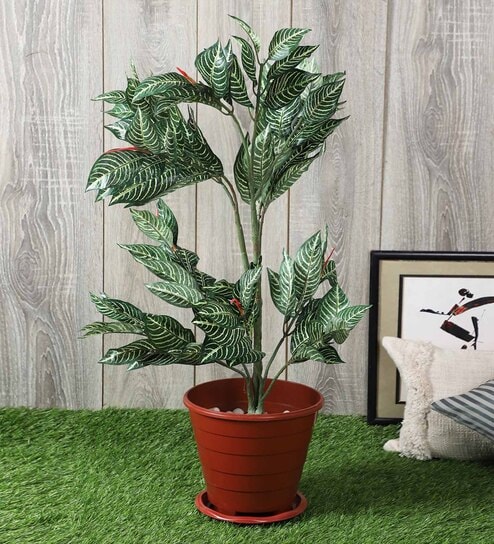Green Polyester Artificial Zebra Plant Without Pot
