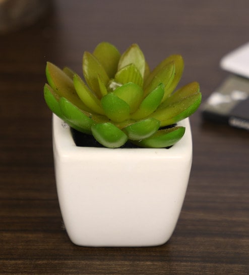 Polyester Isabel Artificial Green Paperweight Bonsai With Pot Artificial Plant