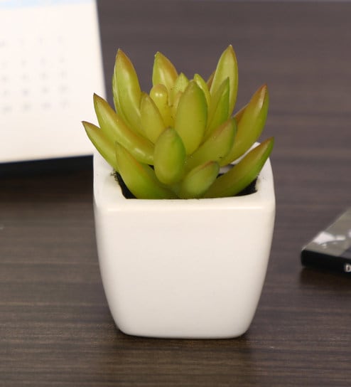 Artificial Green Paperweight Bonsai with Pot