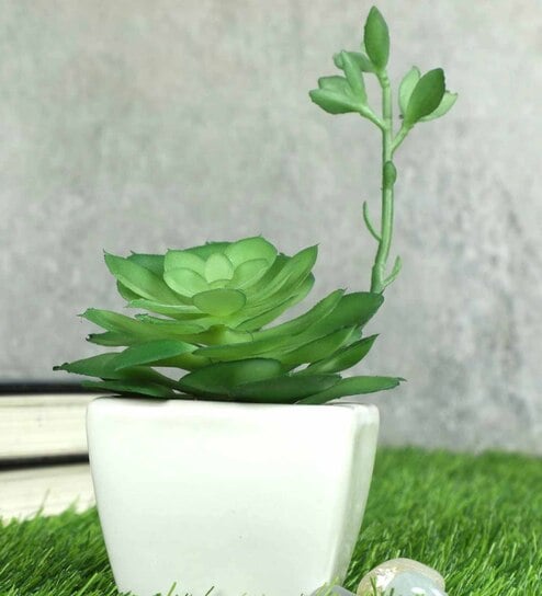 Green Polyurethane Artificial Bonsai Succulent Plant With White Ceramic Pot