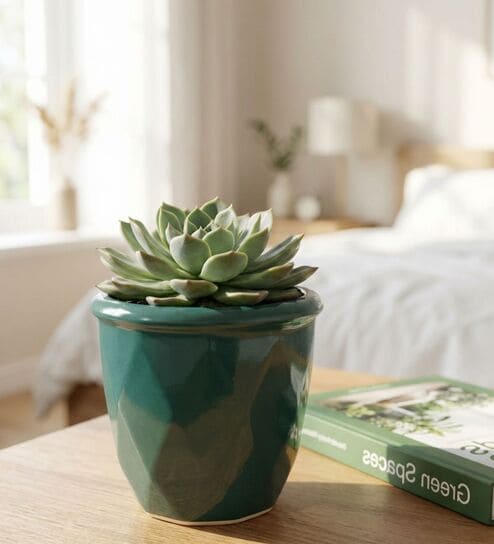 Green Ceramic 4-Inch Flower Pot