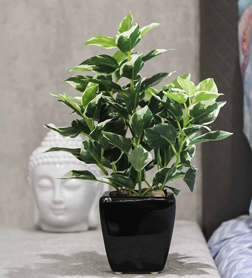 Green PVC Artificial Bonsai Plant With Black Ceramic Pot