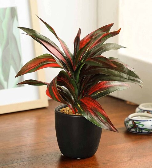 Pvc Alys Green Bonsai With Black Ceramic Pot Artificial Plant