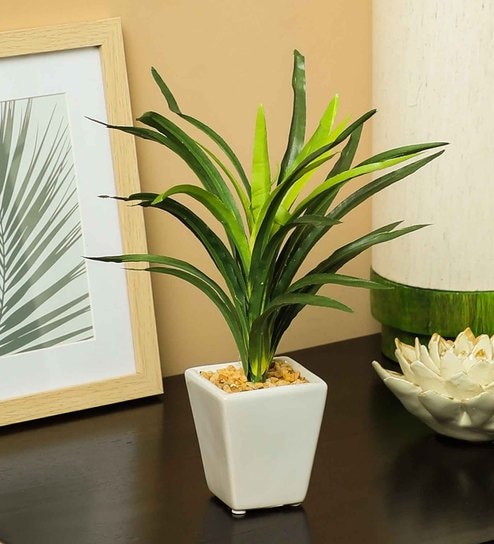 Green Pvc Dracaena Artificial Bonsai With White Ceramic Pot