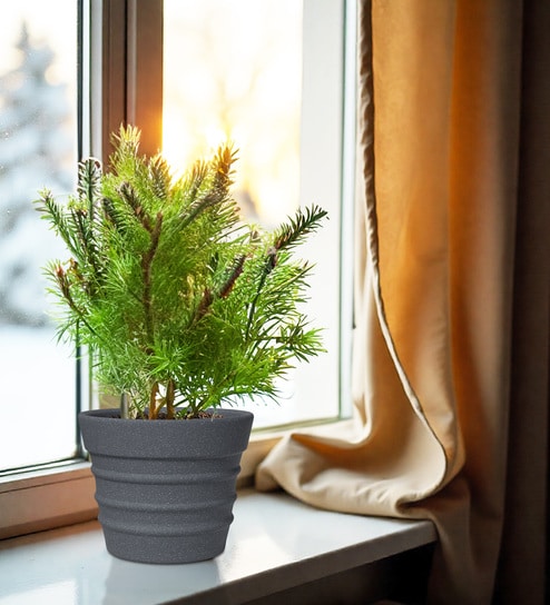 Grey BR Round 12 Inches Planter