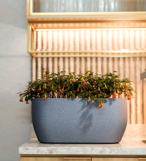 Grey PCTR rectangular 2411 Planter