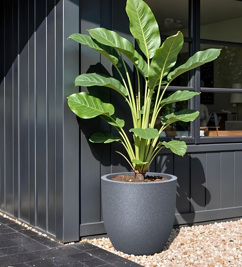 Grey Pcup Round 2 Inches Planter