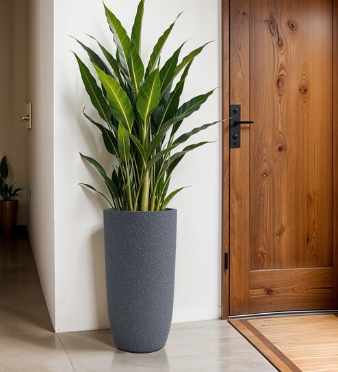 Grey TPC Round 3 Inches Planter