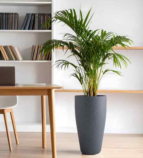 Grey VNR Round 24 Inches Planter