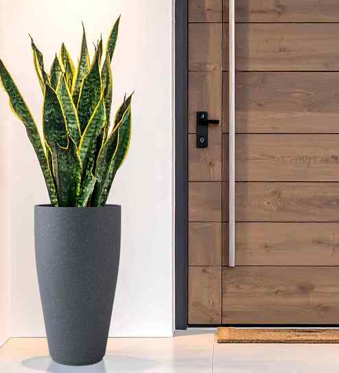 Grey VNR Round 3 Inches Planter